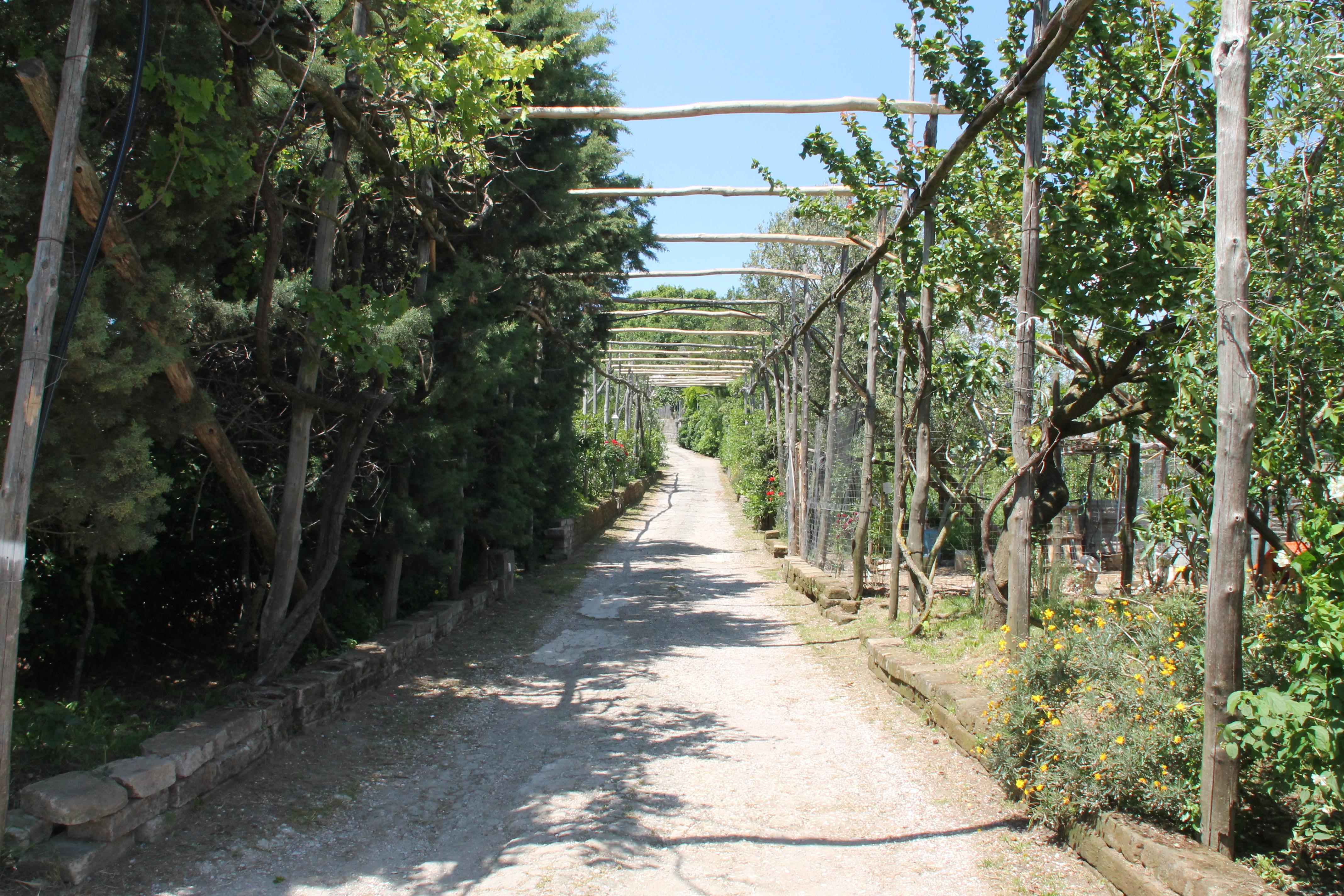 Agriturismo Piccolo Paradiso Πιάνο ντι Σορέντο Εξωτερικό φωτογραφία