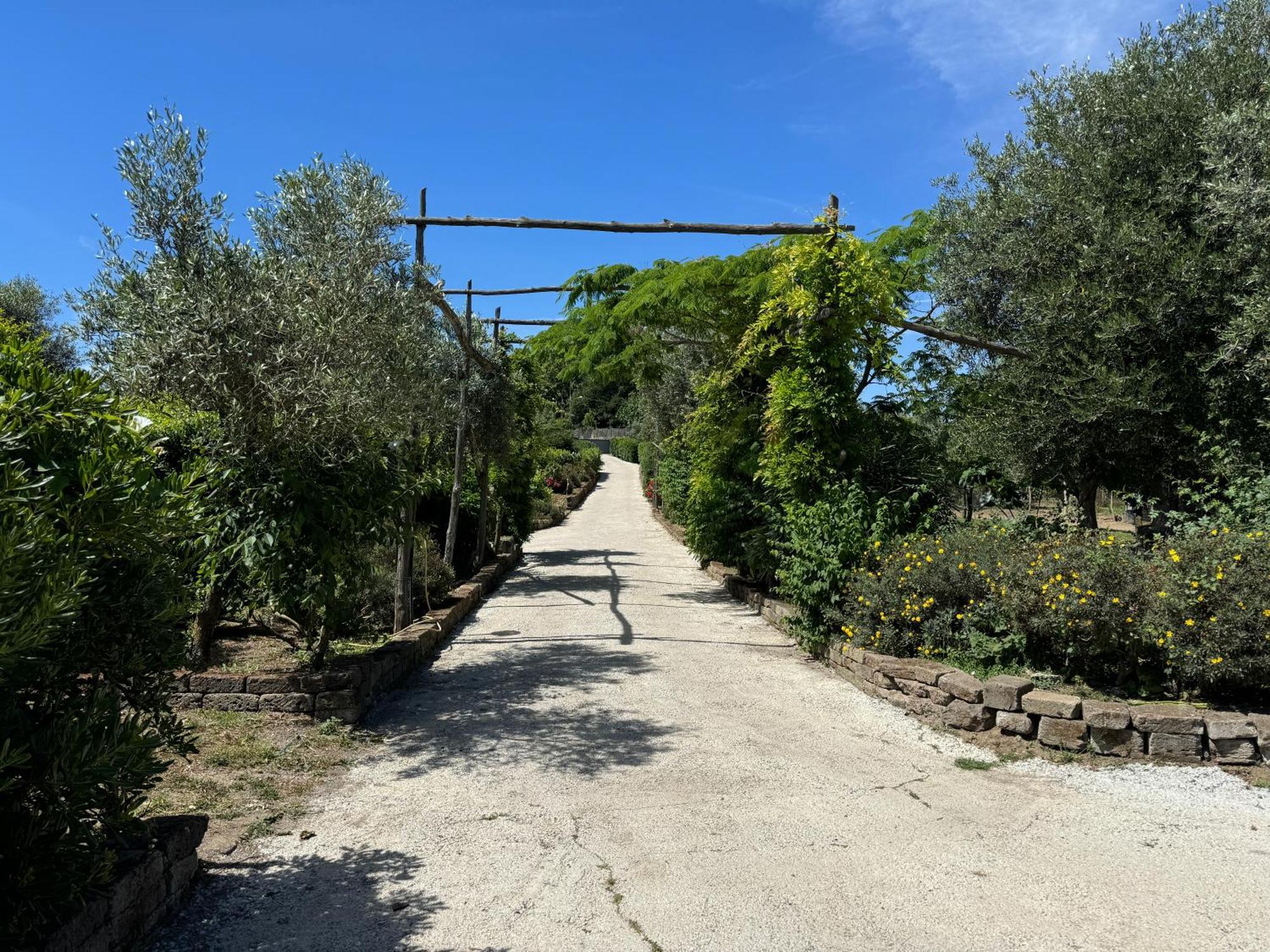 Agriturismo Piccolo Paradiso Πιάνο ντι Σορέντο Εξωτερικό φωτογραφία