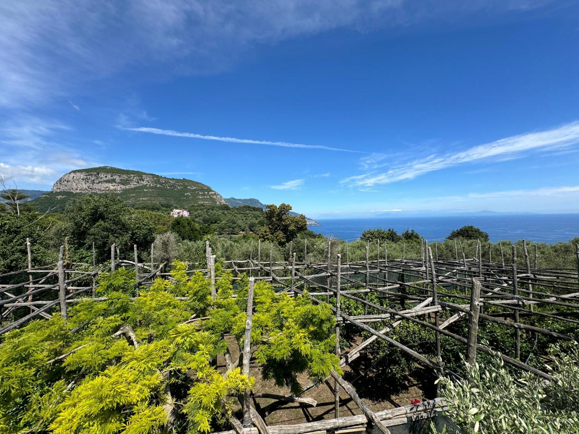 Agriturismo Piccolo Paradiso Πιάνο ντι Σορέντο Εξωτερικό φωτογραφία