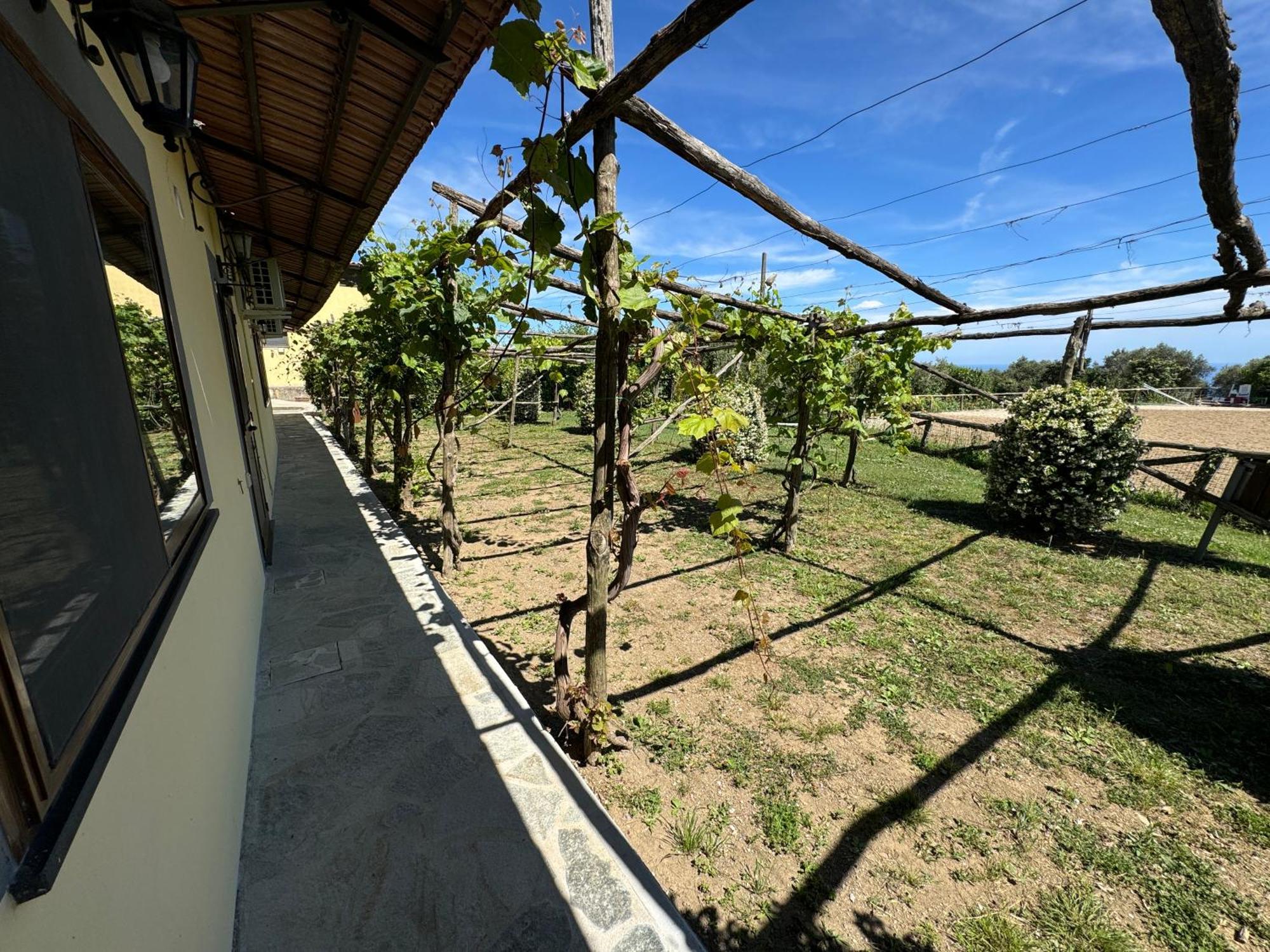 Agriturismo Piccolo Paradiso Πιάνο ντι Σορέντο Εξωτερικό φωτογραφία
