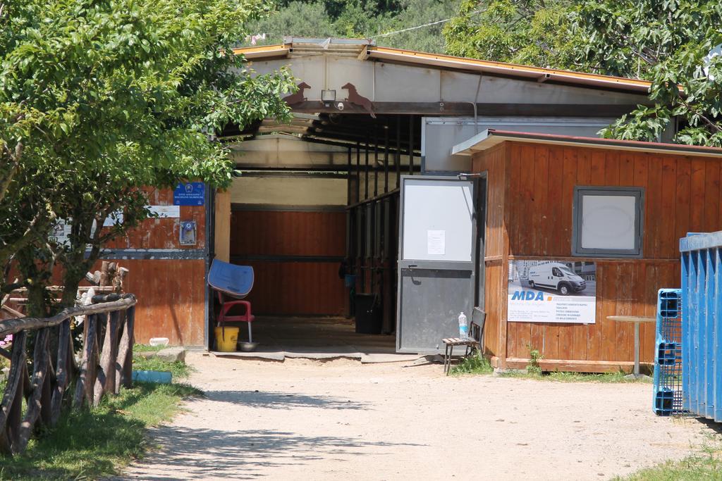 Agriturismo Piccolo Paradiso Πιάνο ντι Σορέντο Εξωτερικό φωτογραφία