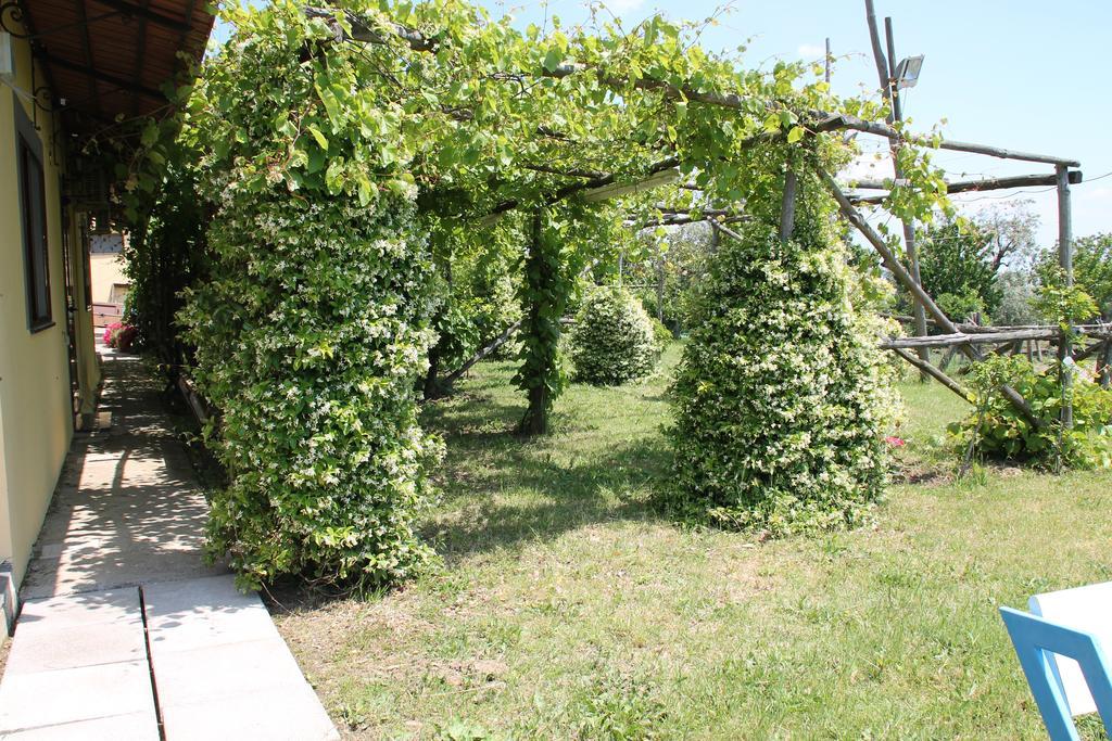 Agriturismo Piccolo Paradiso Πιάνο ντι Σορέντο Εξωτερικό φωτογραφία