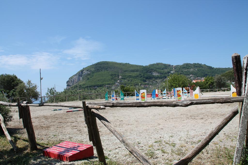 Agriturismo Piccolo Paradiso Πιάνο ντι Σορέντο Εξωτερικό φωτογραφία