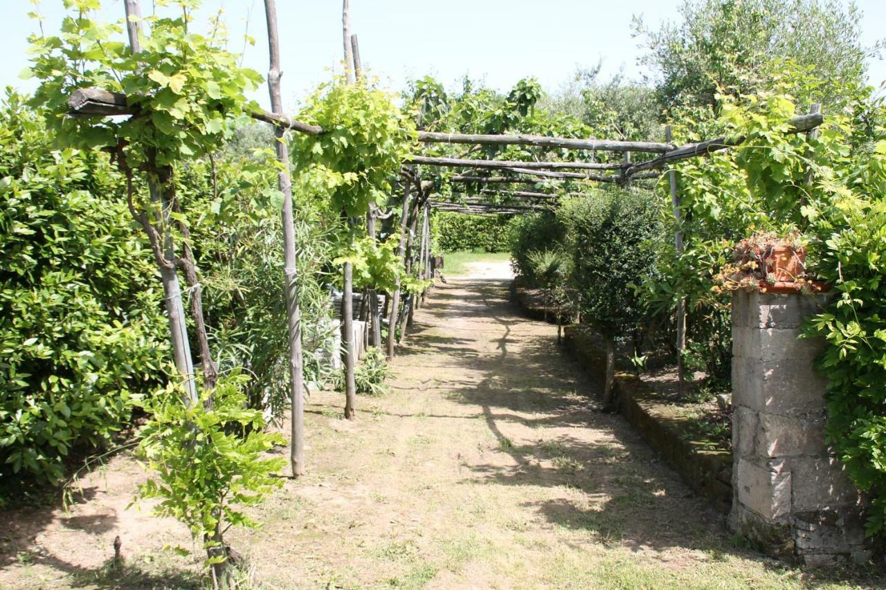 Agriturismo Piccolo Paradiso Πιάνο ντι Σορέντο Εξωτερικό φωτογραφία