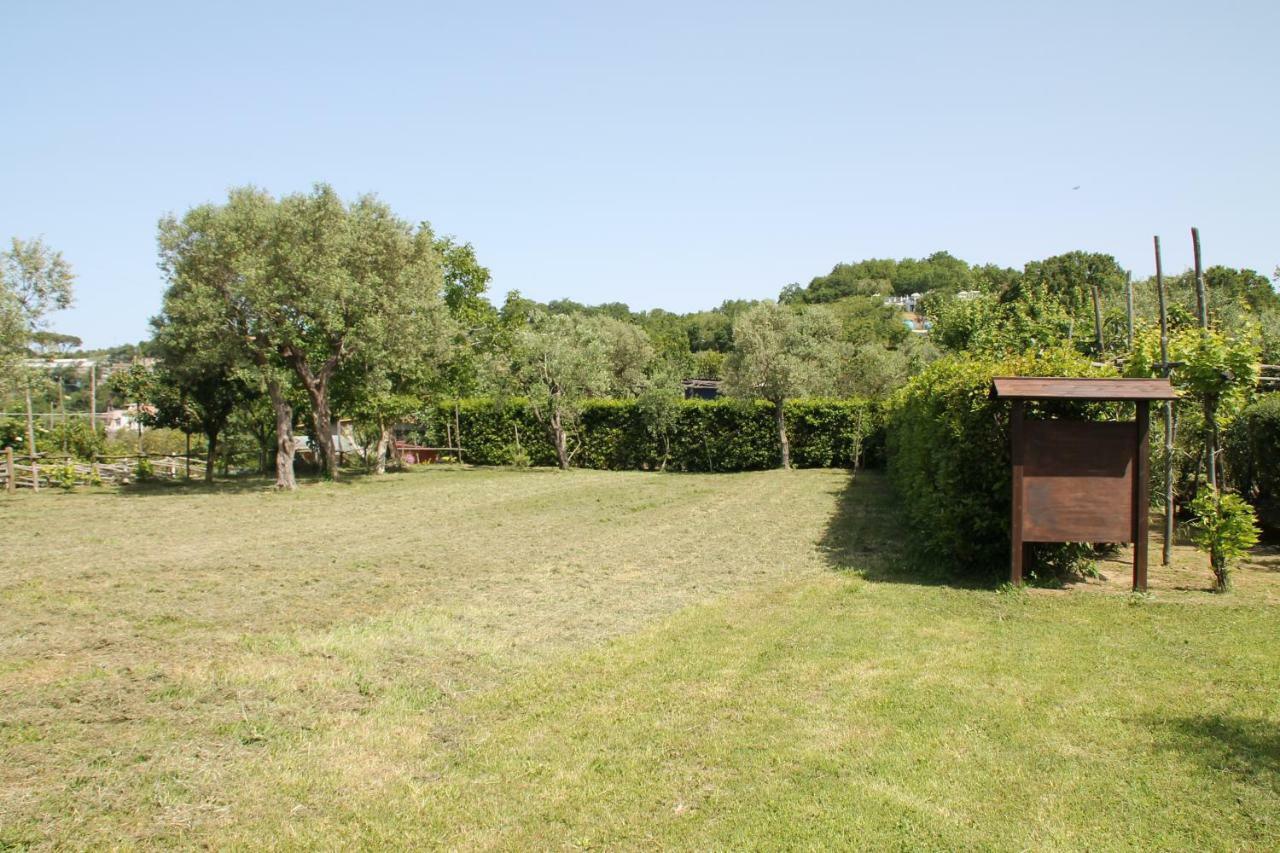 Agriturismo Piccolo Paradiso Πιάνο ντι Σορέντο Εξωτερικό φωτογραφία